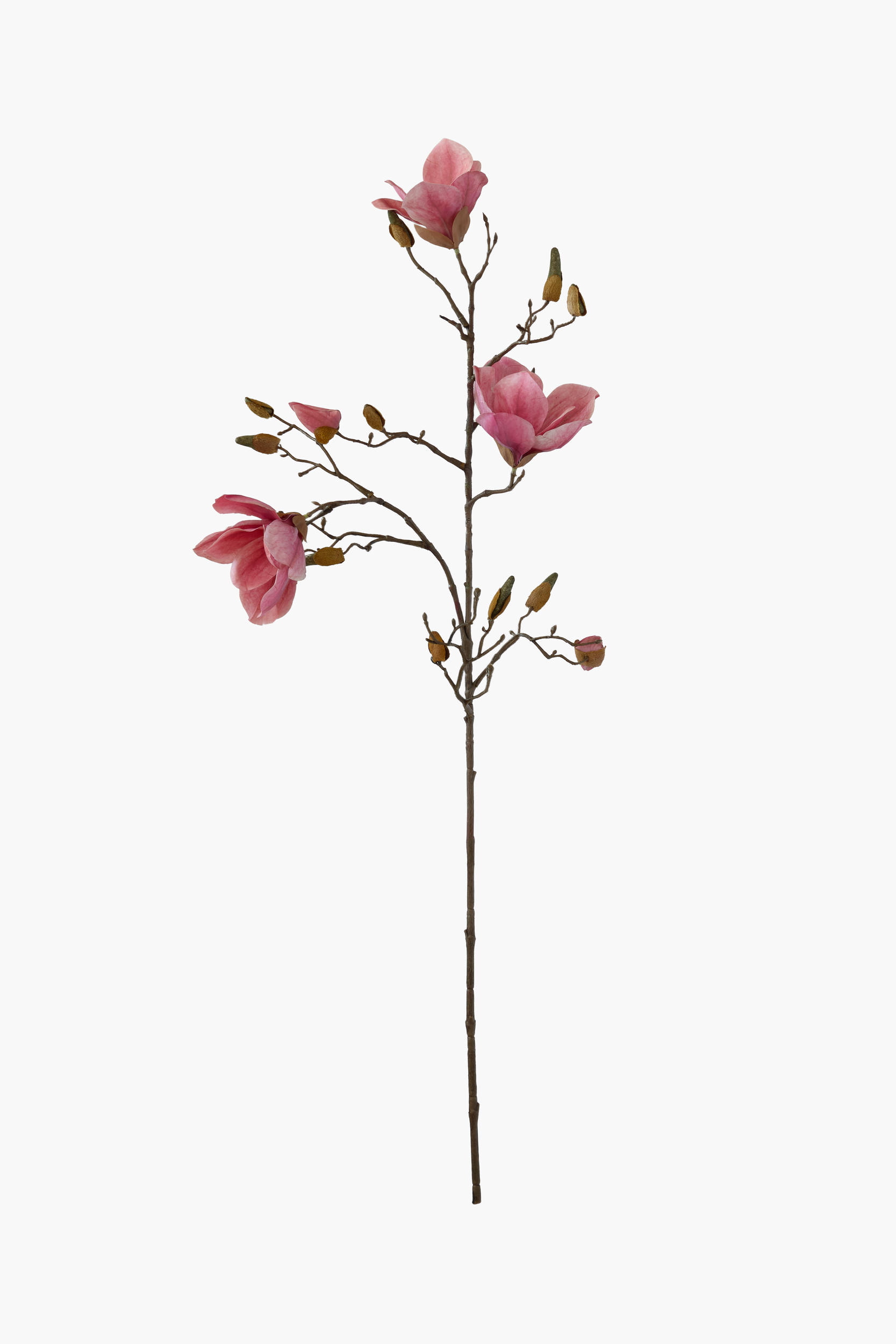 90cm Medium Branch Yulan Magnolia (Real Touch)